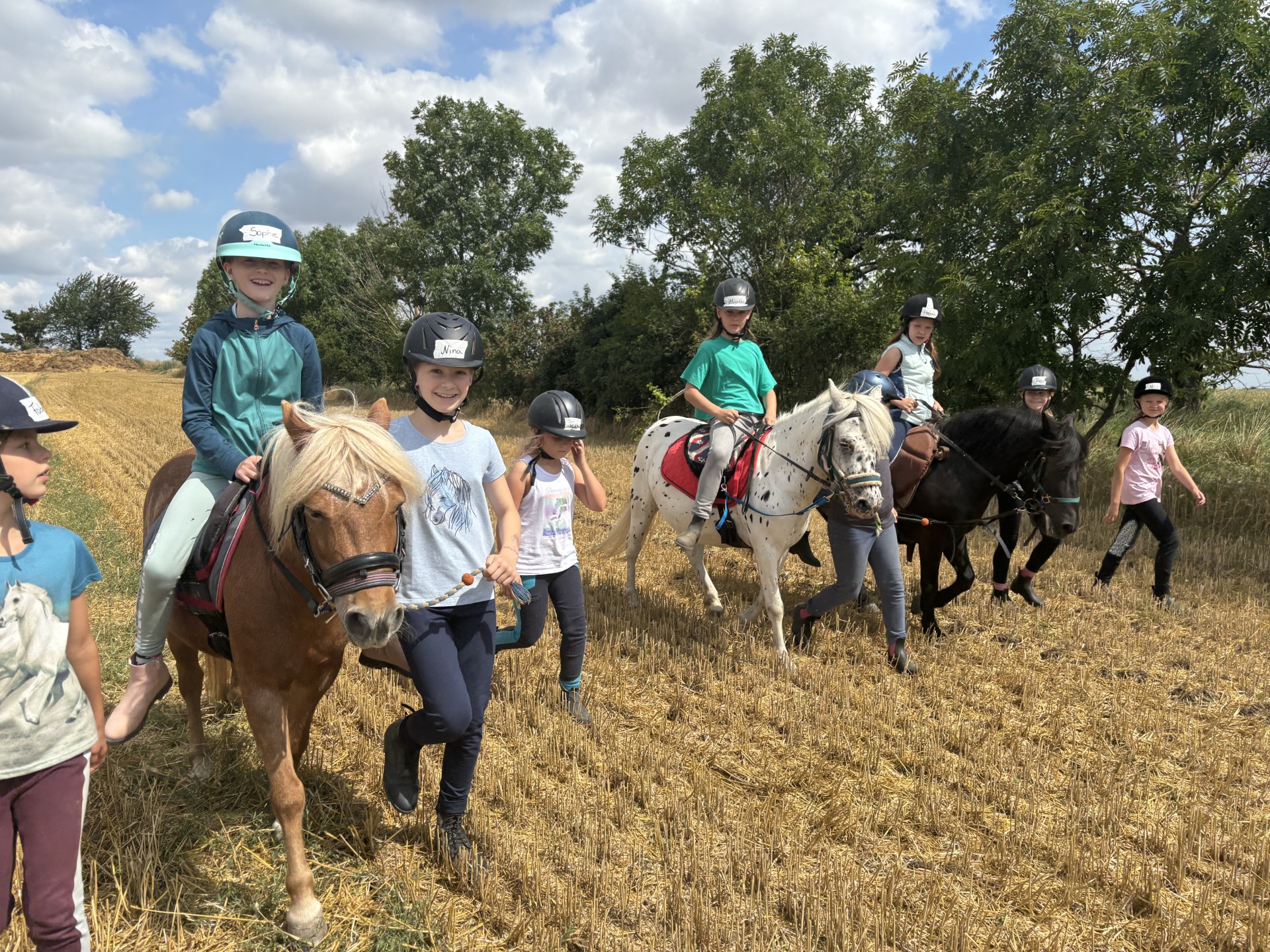 Reiterferien für Kinder 2027 – Bild 8
