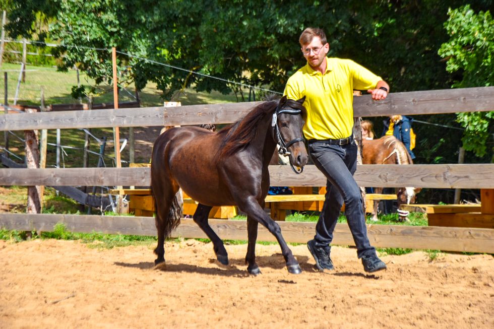 Ic „Be-Sweet von Clus“, Schwarzbraun, geb. 24.04.2023, 113 cm
Vater: Pr/BPr/ LH Jaybee von Clus
Mutter: StPr/BPr/LS Best-April von Clus
MV: Pr/El/BPr/ LH Jo-Co‘s KC Coyne Connection
Z./B.: Tim Grober, 37581 Bad Gandersheim