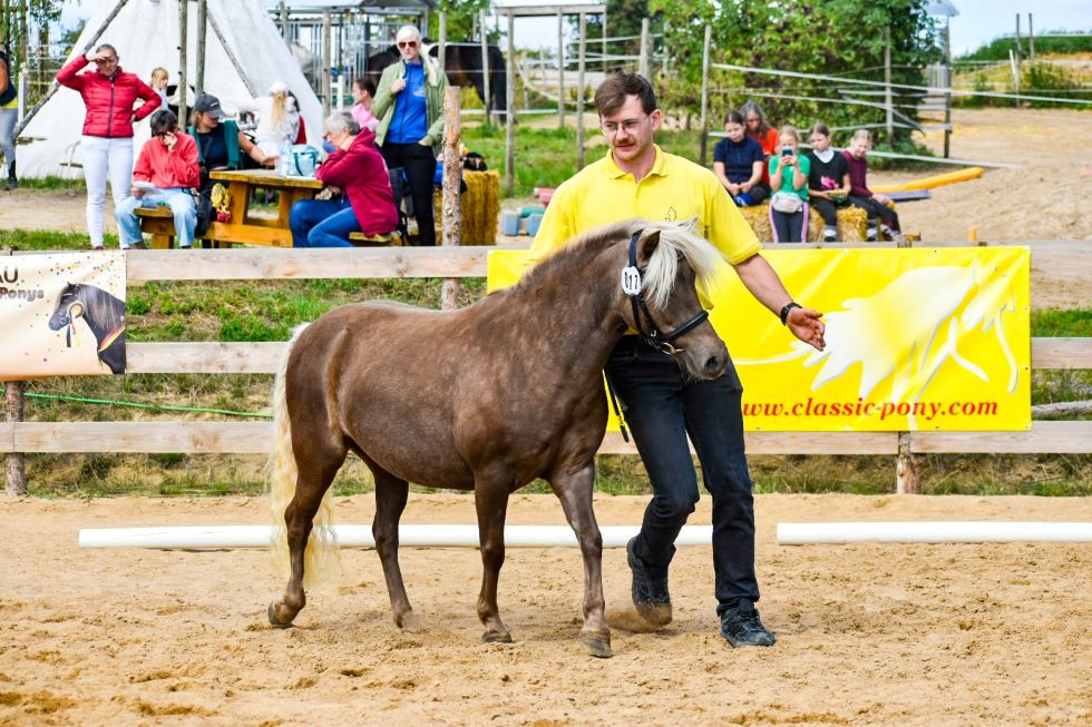 Ia „Brianna von Clus”, Braunsilber, geb. 19.04.2020, 113 cm
Vater: Pr/LH Jordan
Mutter: St/El/BPr/LS Best-May von Clus
MV: Pr/El/BPr/LH Jo-Co‘s KC Coyne Connection
Z./B.: Ralf Grober, 37581 Bad Gandersheim