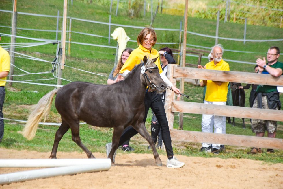 Ic „Feodora vom Schedetal“, Rappsilber, geb. 20.04.2021, 112 cm
Vater: PrH Kara‘s Black Supreme Captain
Mutter: For Magic vom Schedetal
MV: Pr/ElH Jasper
Z.: ZG Gerda u. Michael Zimmermann, 37127 Scheden
B.: Nicole Pagel, 37115 Duderstadt