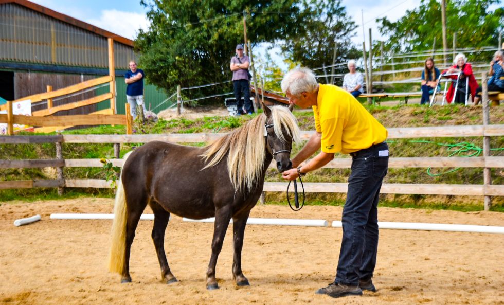 Ib „Hailey von Clus“, Rappsilber, geb. 28.03.2021, 109 cm
Vater: Pr/BPr/LH Jaybee von Clus
Mutter: StPr/LS Highhair von Clus
MV: Pr/El/BPr/LH Jabolo
Z./B.: Dr. Florian Grober, 37581 Bad Gandersheim