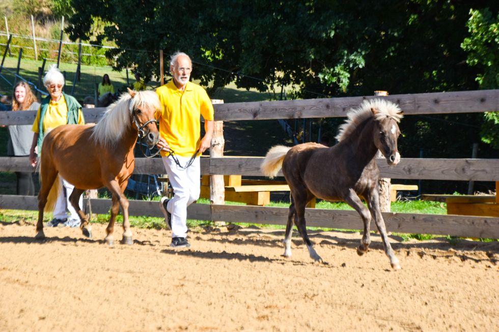 Ic „Fine Diva vom Schedetal“, Rappsilber, geb. 19.04.2026. Vater: LH Money Painter Go
Mutter: StPr/El/BPr/LS Franka vom Schedetal
MV: PrH Jolly Jumper vom Talhof
Z./B.: ZG Gerda u. Michael Zimmermann, 37127 Scheden